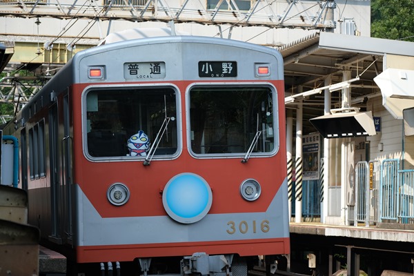DSCF5978