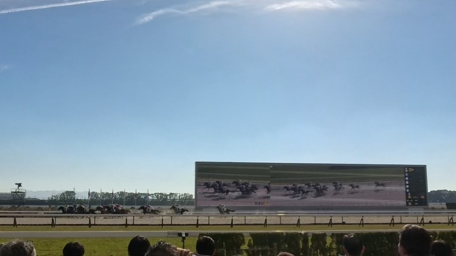 785582334_2025-11-29_22-03-0