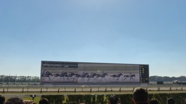 785582334_2025-11-29_22-03-59