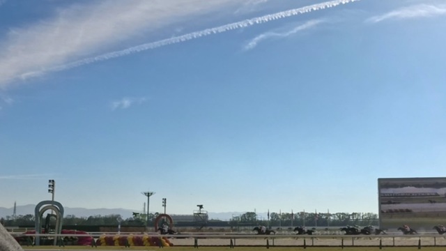 785582334_2025-11-29_22-07-31