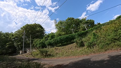 VID_20250916_133524_008 - frame at 17m18s VID_20250916_133524_008 - frame at 17m18s