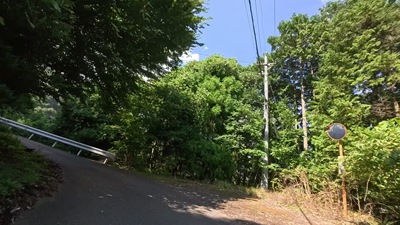 VID_20250916_133524_008 - frame at 7m53s VID_20250916_133524_008 - frame at 7m53s