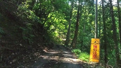 VID_20250916_133524_008 - frame at 9m3s VID_20250916_133524_008 - frame at 9m3s