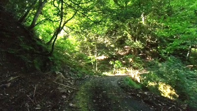 VID_20250916_133524_008 - frame at 9m8s