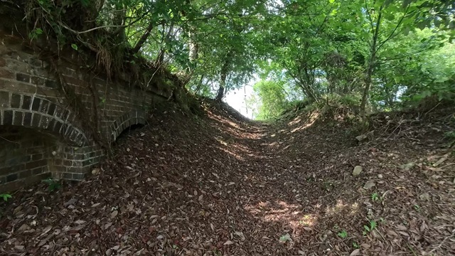 VID_20250916_140259_009 - frame at 0m47s