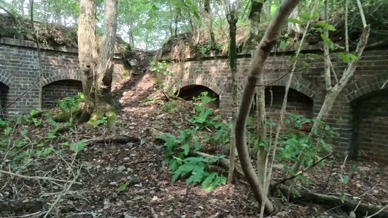 VID_20250916_141807_010 - frame at 0m21s