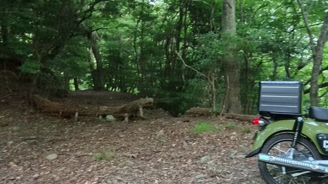 VID_20250916_143553_012 - frame at 0m3s