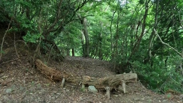 VID_20250916_143553_012 - frame at 0m7s