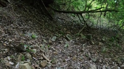 VID_20250916_143553_012 - frame at 3m20s