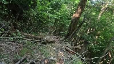 VID_20250916_143553_012 - frame at 4m25s