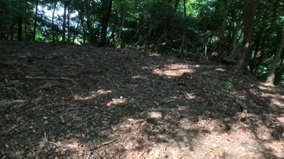 VID_20250916_144141_014 - frame at 0m16s VID_20250916_144141_014 - frame at 0m16s