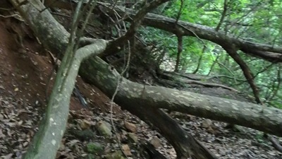 VID_20250916_144141_014 - frame at 7m0s VID_20250916_144141_014 - frame at 7m0s