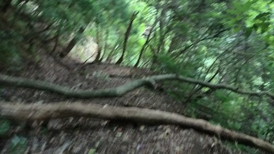 VID_20250916_144141_014 - frame at 7m11s