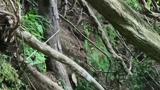 VID_20250916_144141_014 - frame at 7m48s