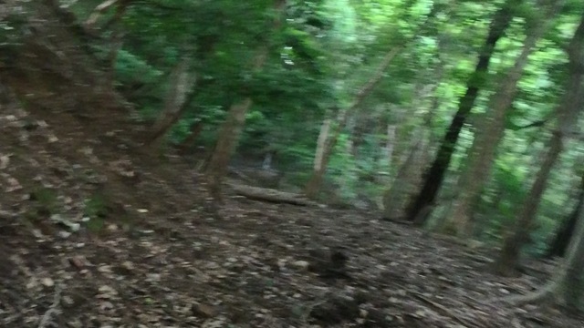 VID_20250916_145211_015 - frame at 0m22s