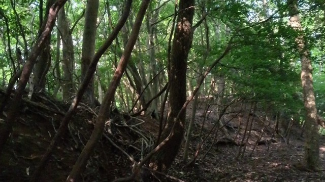 VID_20250916_145211_015 - frame at 2m8s