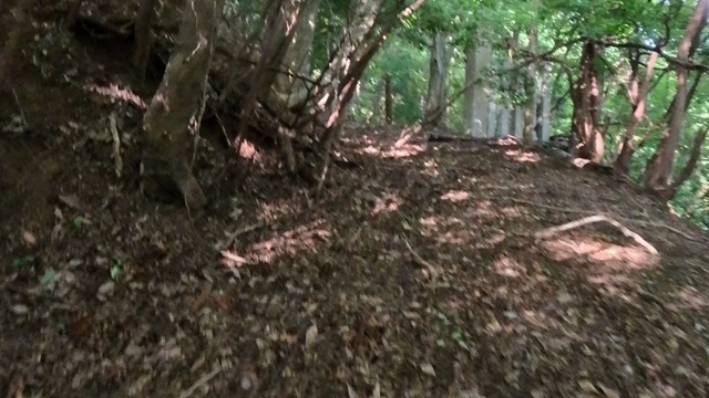 VID_20250916_145211_015 - frame at 4m4s